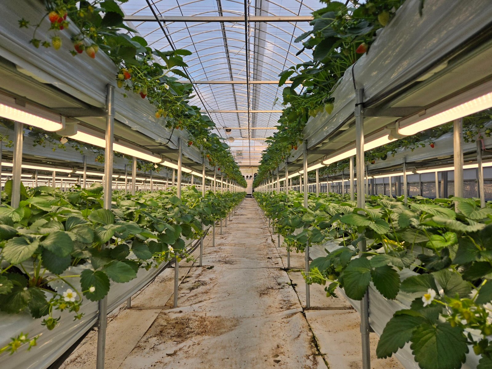 kakaotalk 20260116 001929527