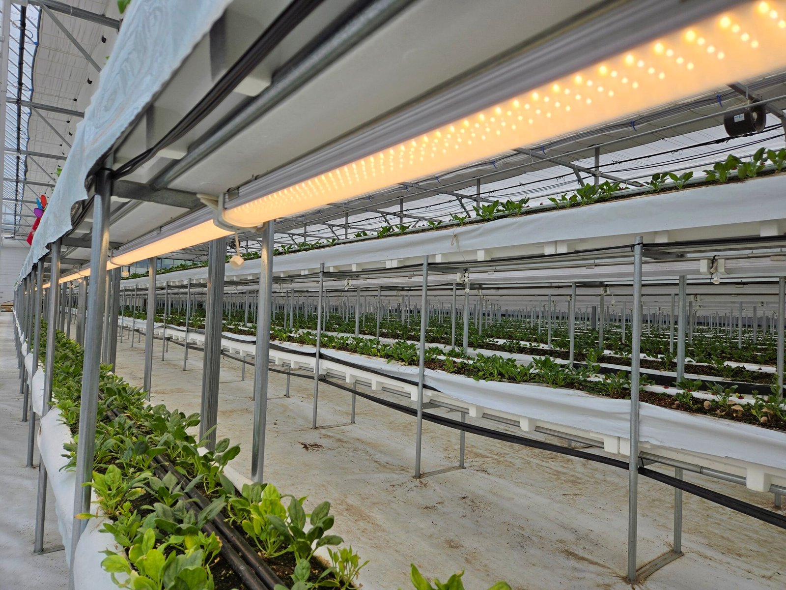 kakaotalk 20260116 002822391